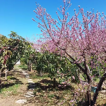 En Santa Cruz * Los Campitos